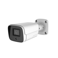 Home-Locking ip-camera met bewegingsdetectie en  SONY ship POE 3.0MP. C-1262